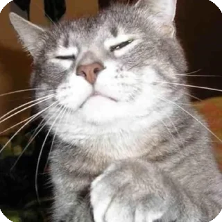 😑