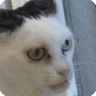 😐