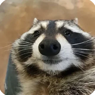 🙂