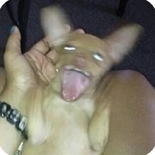 😃