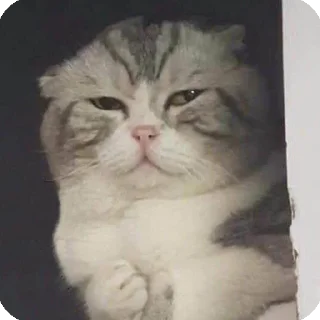 😔