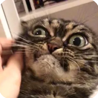 😠