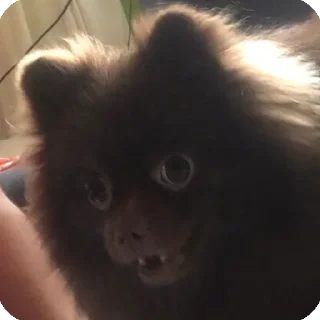 😀