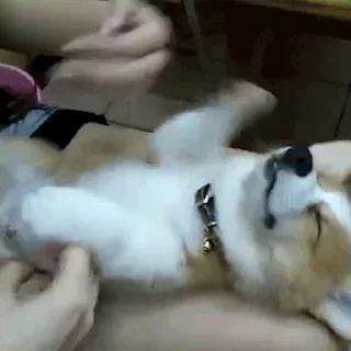 💤
