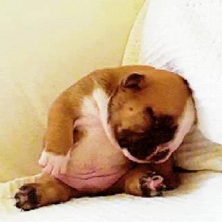 💤
