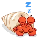 😴