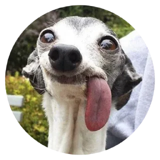 😜
