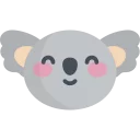 🐨