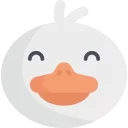 🐤