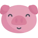 🐽