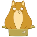 📦
