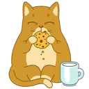 🍪