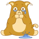 😿