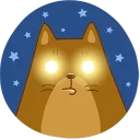 🌙