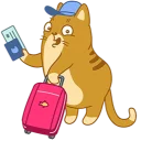💳