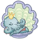 🐚