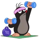 💪