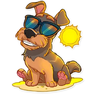 😎