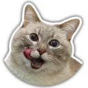 😛