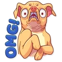 😨
