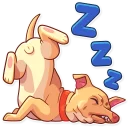 😴