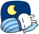 🌙
