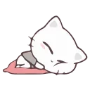 😴