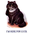 😸