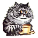 😺