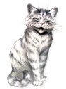 😹