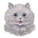 🐱
