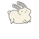 🐰