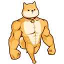 💪