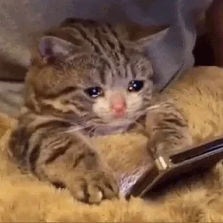 😢