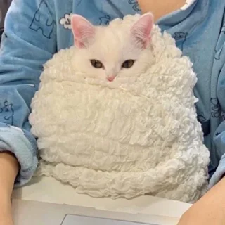 😕