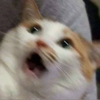 😯