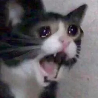 😢