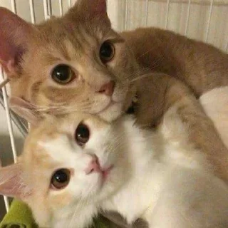 ❤️