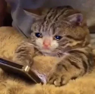 😢