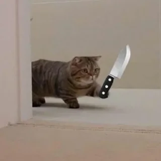 😡