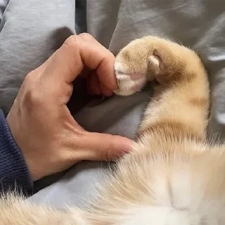 ♥️
