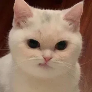 😏