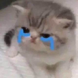 😭