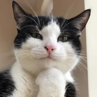🤨