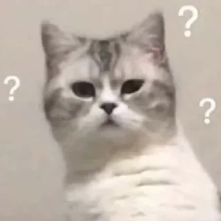 🤔
