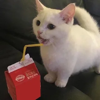 🥰