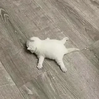 😵