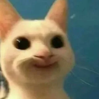 😌
