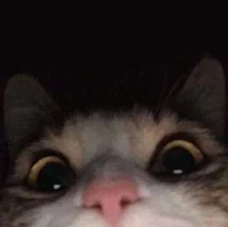 👀