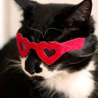 ❤️